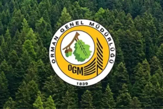 OGM’den hava araçları ve yanan orman alanlarıyla ilgili açıklama