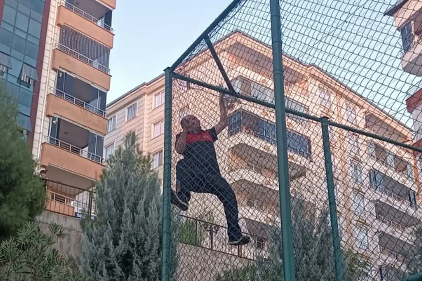Teller arasında mahsur kalan yavru kedi itfaiye ekiplerince kurtarıldı Teller arasında mahsur kalan yavru kedi itfaiye ekiplerince kurtarıldı