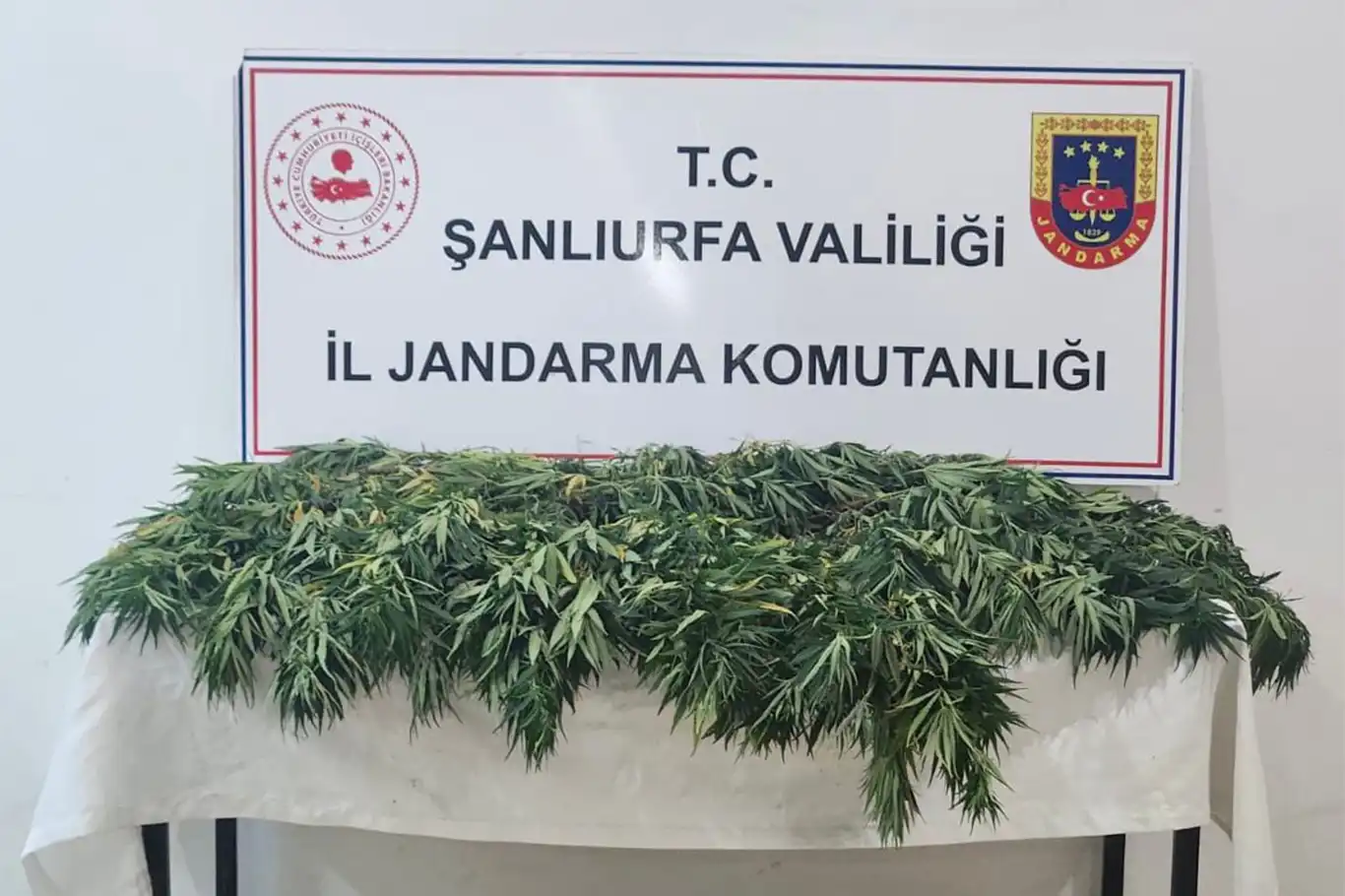 Şanlıurfa’da uyuşturucu operasyonu: 2 gözaltı Şanlıurfa’da uyuşturucu operasyonu: 2 gözaltı