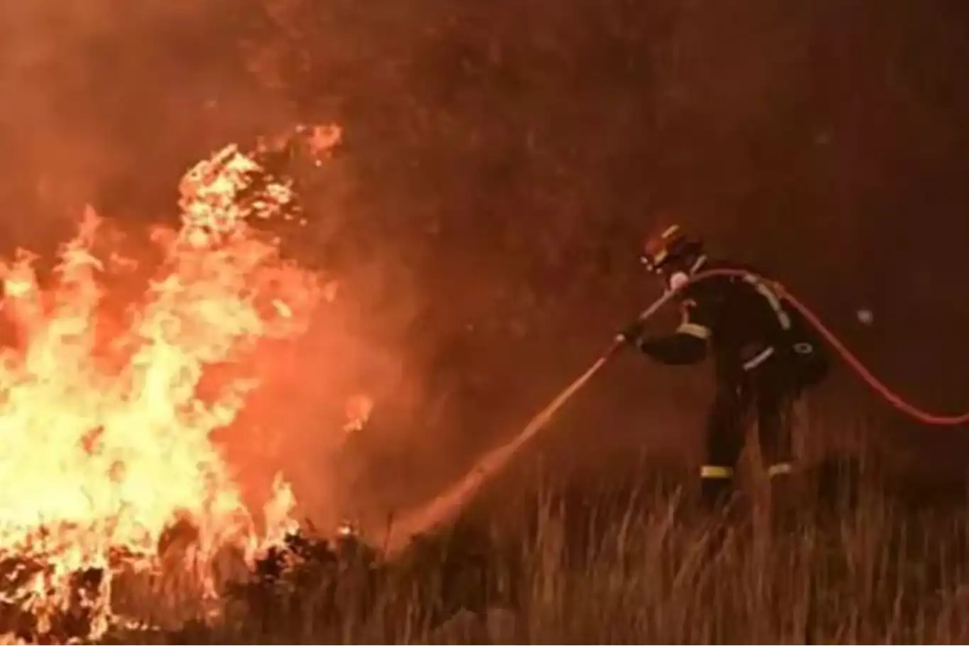 Wildfires force mass evacuation in Greece