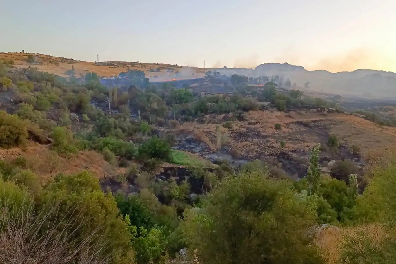 Adıyaman'da çıkan bağ ve bahçe yangınları söndürüldü