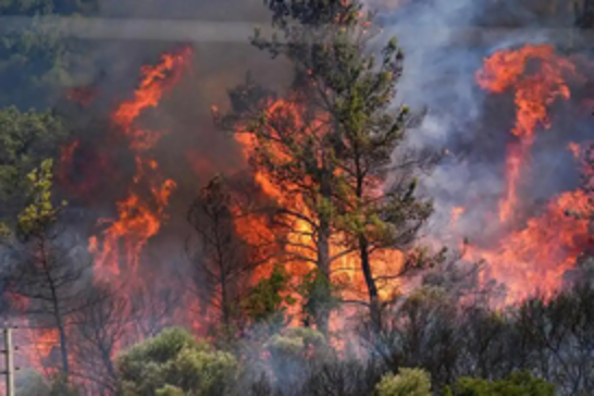 Türkiye battles fierce wildfires as southern regions face evacuations