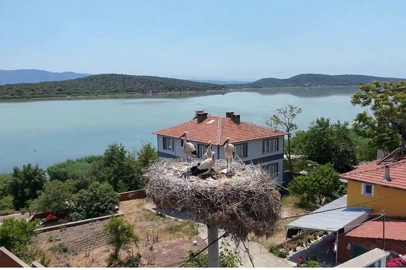  Bursa’dan Filistin’e kanat açan yavru leylek, İslam dünyasına mesaj verdi