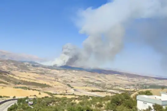 Adıyaman'da ormanlık alanda çıkan yangın devam ediyor