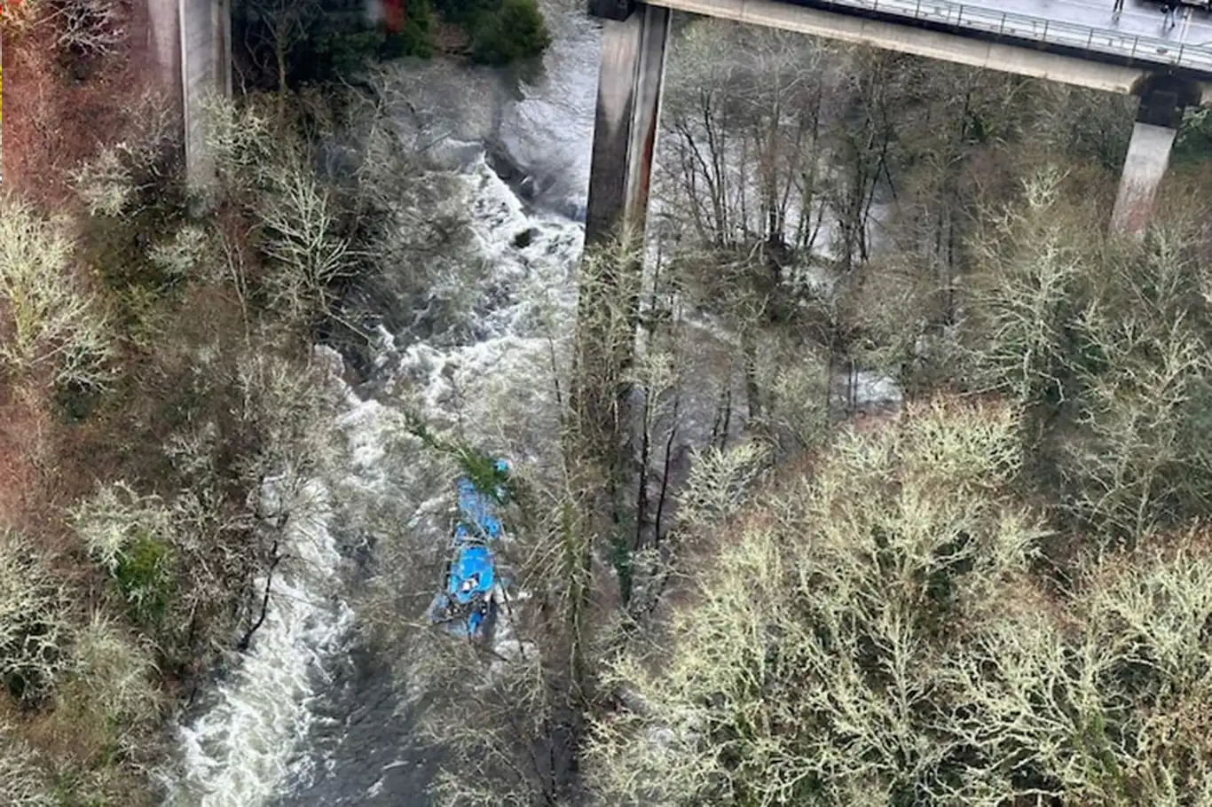 Bus plunges into valley in Algiers, leaving 18 dead and 9 injured