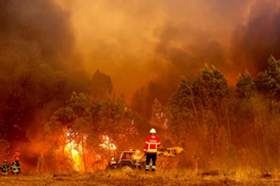 Southern Europe engulfed in flames: Wildfires claim lives across Iberian Peninsula