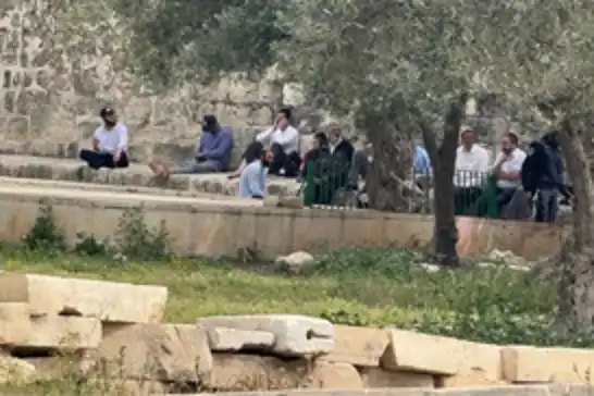 قوات الاحتلال الصهيوني تقتحم مجدداً المسجد الأقصى في القدس المحتلة