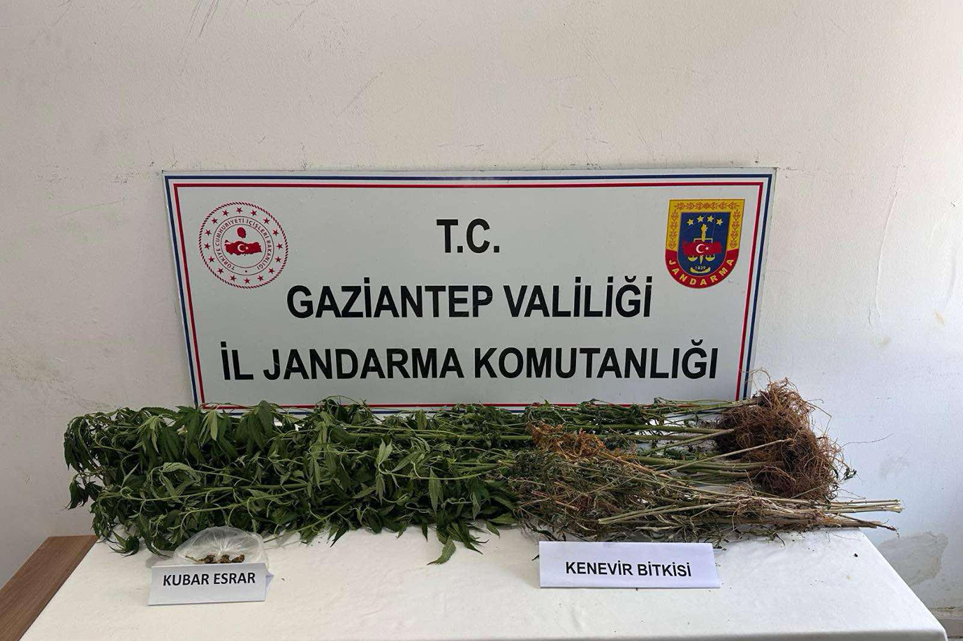 Gaziantep'te uyuşturucu operasyonu: 6 gözaltı Gaziantep'te uyuşturucu operasyonu: 6 gözaltı