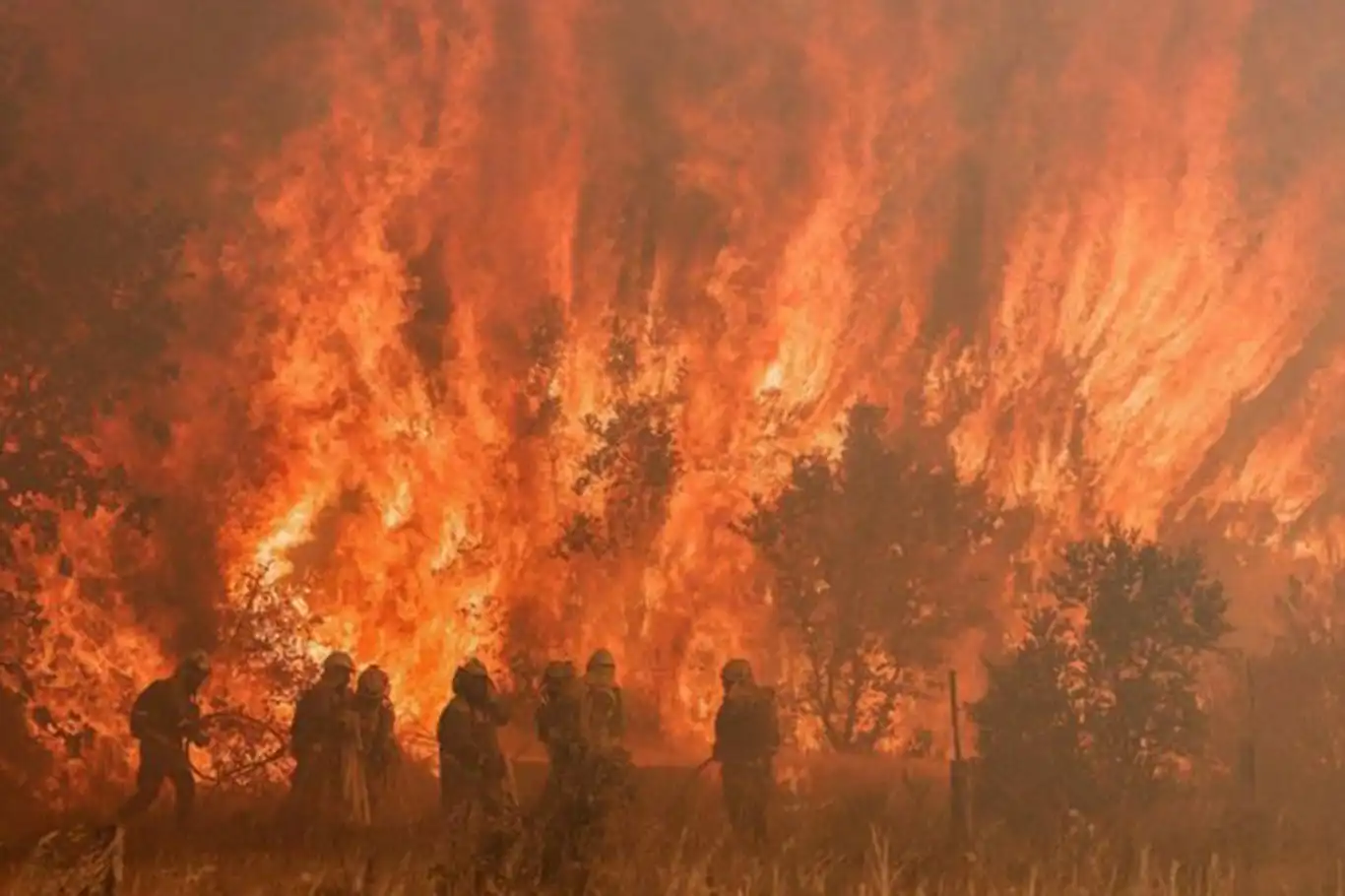 Spain deploys 2,000 soldiers to combat worst wildfires in decades