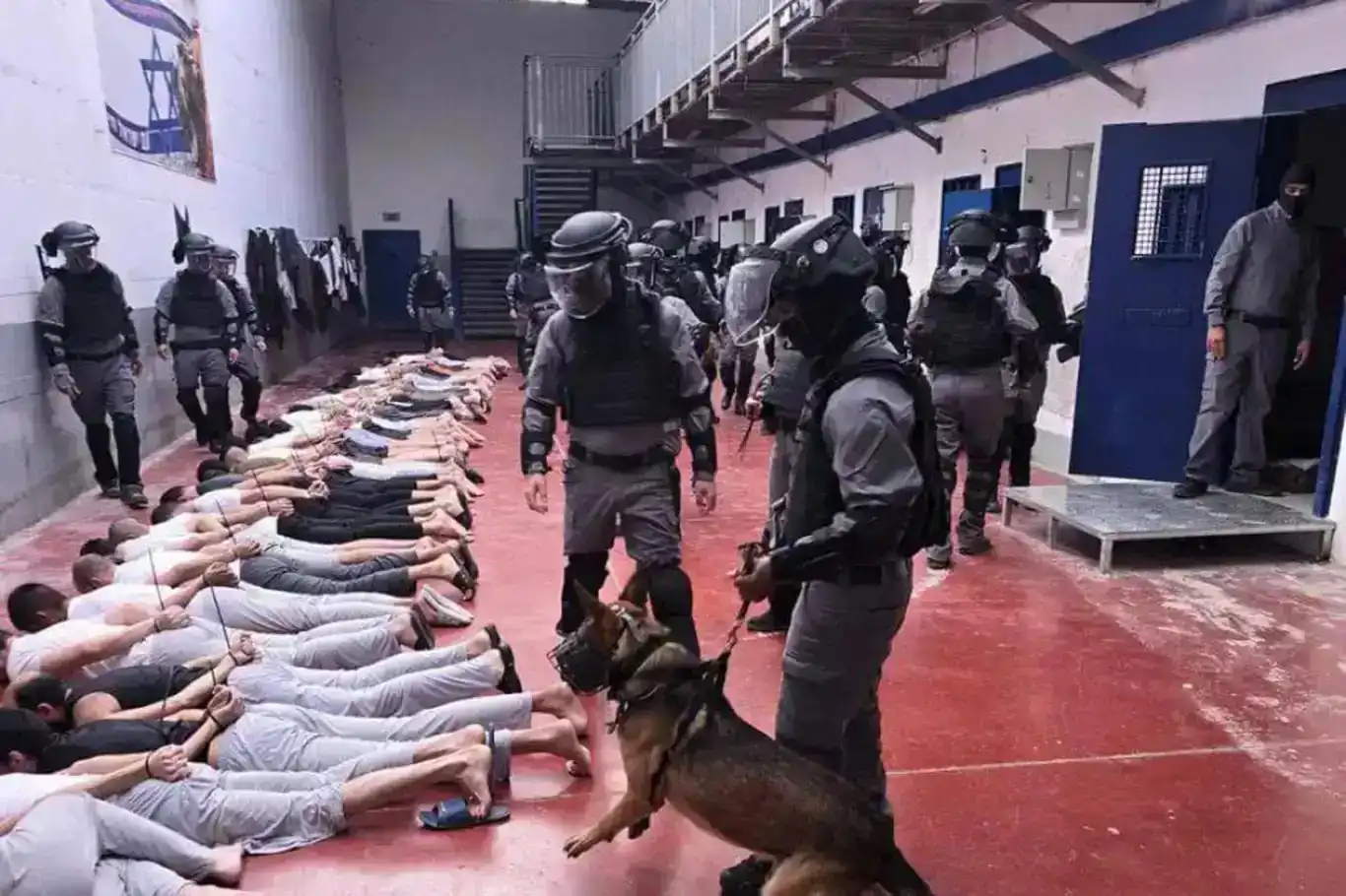 75 êsîrên Filistînî di zindanên sîyonîst de şehîd bûn