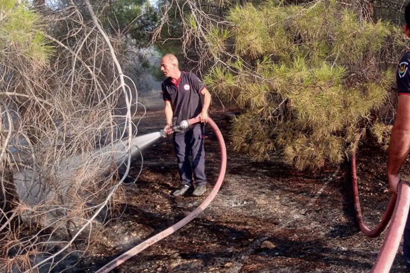 Şanlıurfa’da ormanlık alanda çıkan yangın söndürüldü Şanlıurfa’da ormanlık alanda çıkan yangın söndürüldü