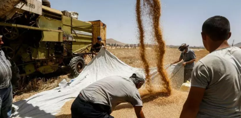 سوريا أمام معركة الغذاء: خلل في التوازن بين العرض والطلب.. فهل حان وقت الإنذار؟ سوريا أمام معركة الغذاء: خلل في التوازن بين العرض والطلب.. فهل حان وقت الإنذار؟