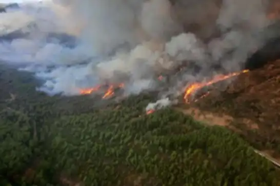 Hakkari'de orman yangını ikinci gününde