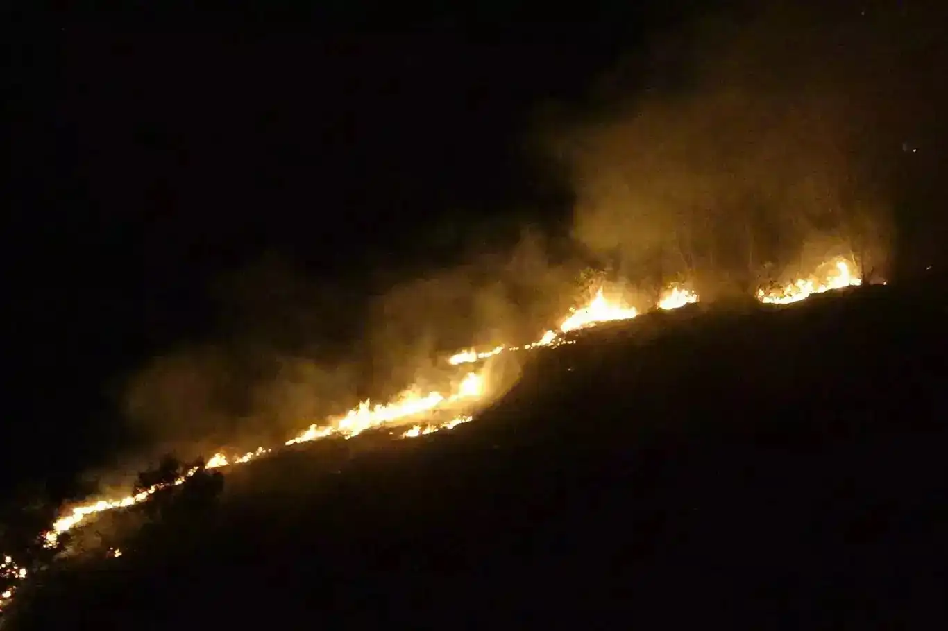 Ankara’daki yangınla ilgili iki kişi gözaltına alındı Ankara’daki yangınla ilgili iki kişi gözaltına alındı