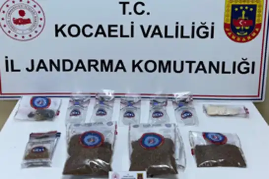 Kocaeli'de 1 kilo 873 gram bonzai ele geçirildi