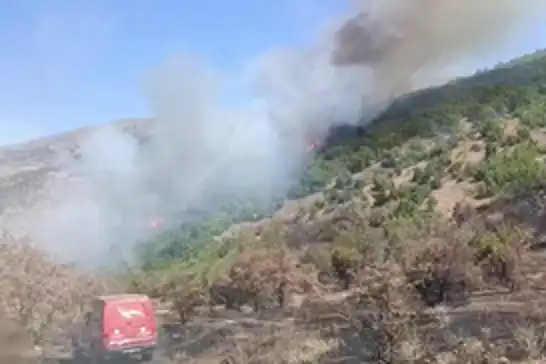 Malatya'daki orman yangını söndürüldü