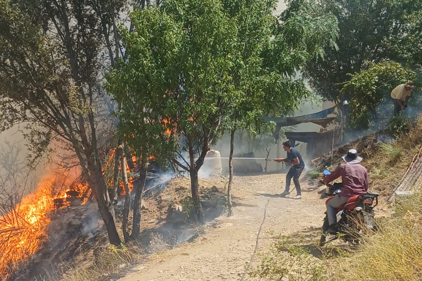 Malatya'da orman yangını: Bir ev alevlerin içerisinde kaldı Malatya'da orman yangını: Bir ev alevlerin içerisinde kaldı