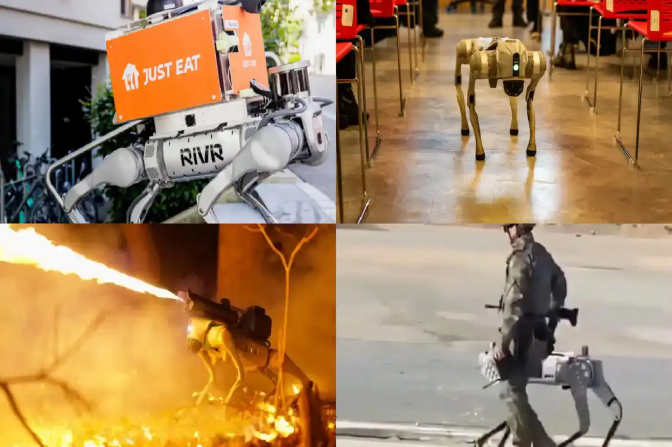 Robot dogs on the rise: From streets to security Robot dogs on the rise: From streets to security