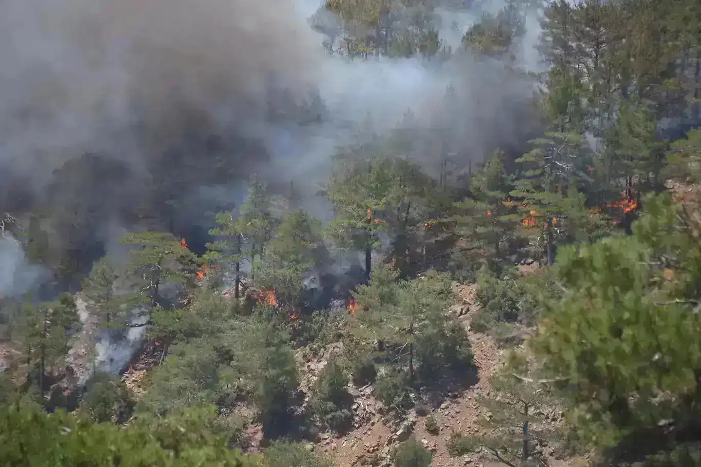 Teams race to control forest fire in northwestern Türkiye Teams race to control forest fire in northwestern Türkiye