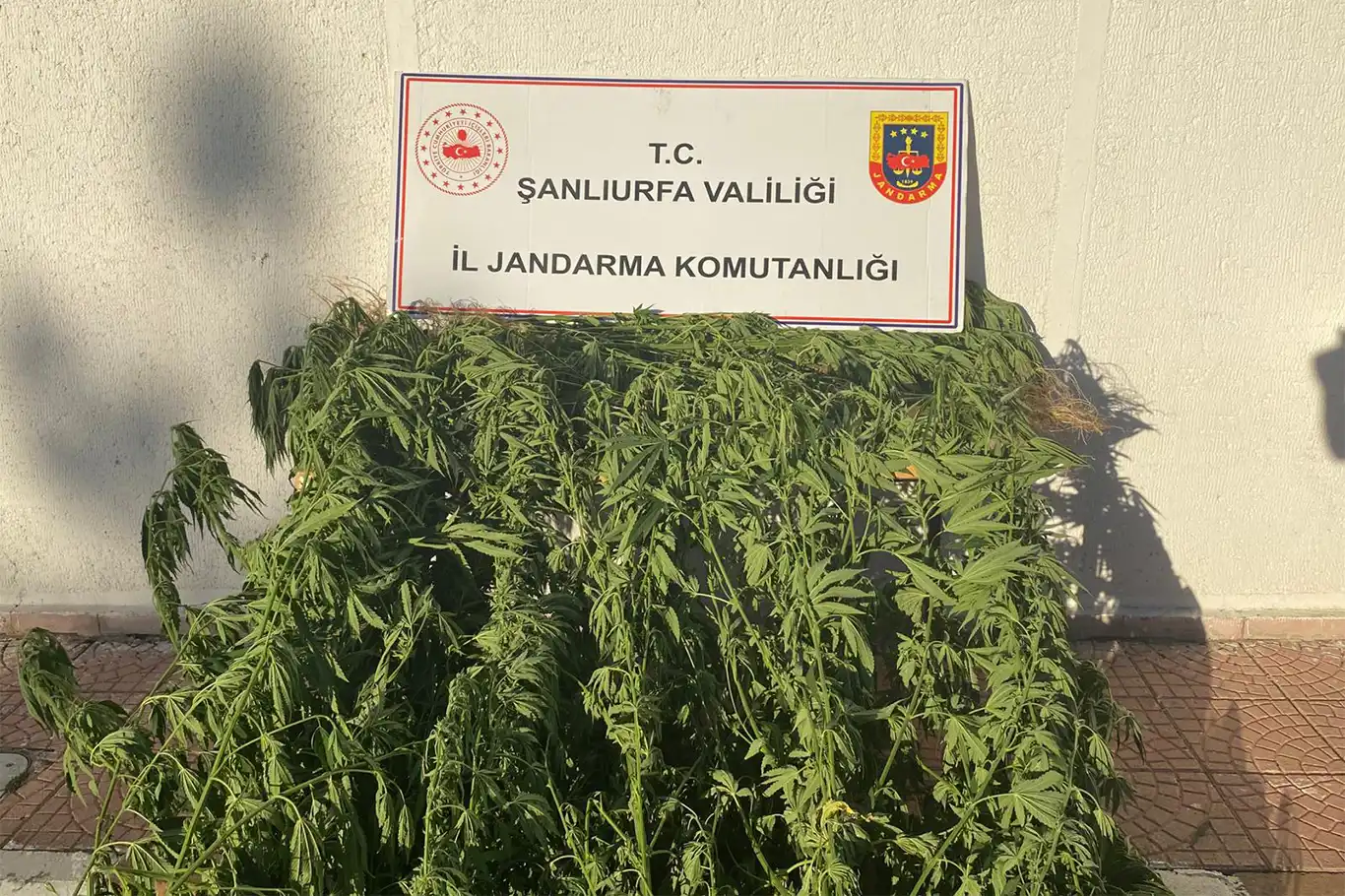 Şanlıurfa’da uyuşturucu operasyonu Şanlıurfa’da uyuşturucu operasyonu