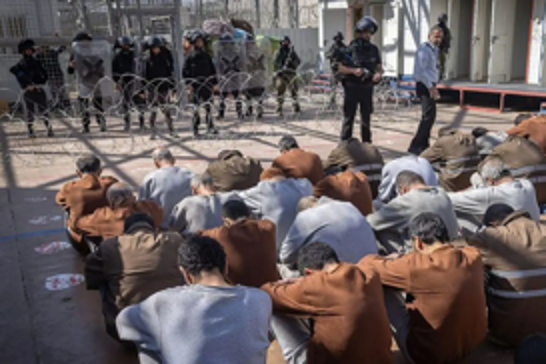 77 Palestinian prisoners killed in Israeli jails since October 7