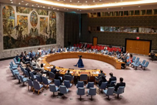 UN Security Council to address Israel’s ongoing genocide in Gaza
