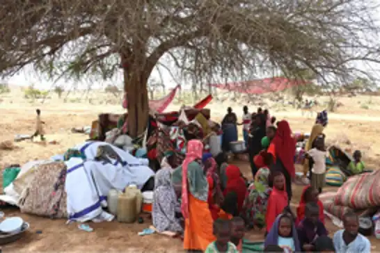 Afrika genelinde 82 binden fazla kişi kayıp
