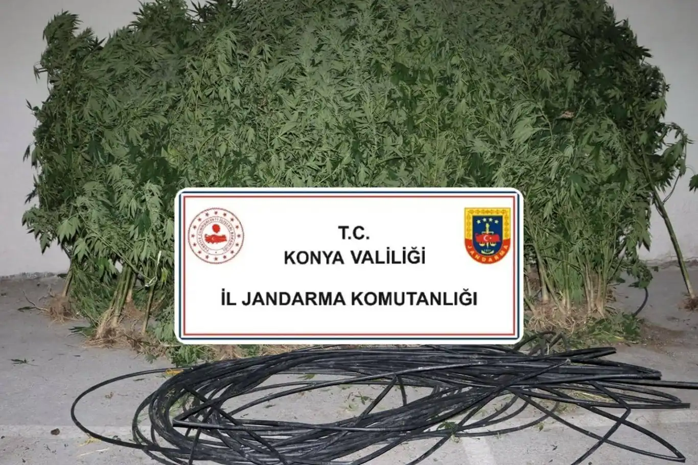 Konya'da 3 ilçede uyuşturucu operasyonu Konya'da 3 ilçede uyuşturucu operasyonu