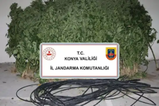 Konya'da 3 ilçede uyuşturucu operasyonu