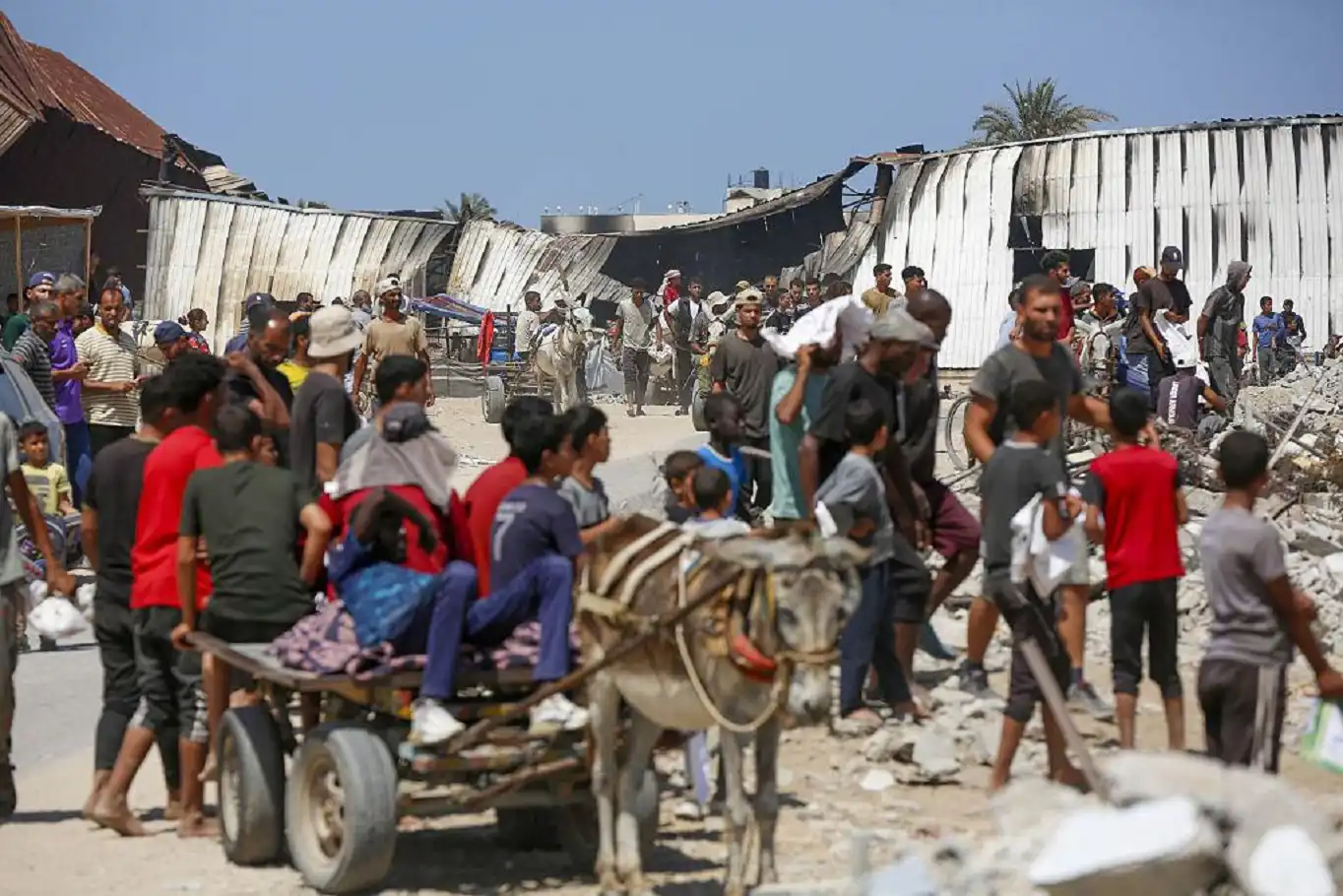 وزارة الصحة بغزة: ارتفاع حصيلة العدوان الإسرائيلي إلى 62966 شهيداً وزارة الصحة بغزة: ارتفاع حصيلة العدوان الإسرائيلي إلى 62966 شهيداً