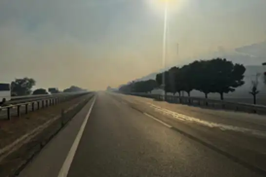 Bursa-Yenişehir kara yolu, orman yangını sebebiyle ulaşıma kapatıldı