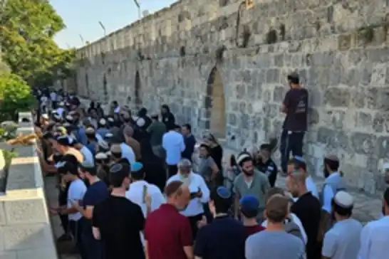 تحت حماية شرطة الاحتلال..اقتحام جديد من قبل المستوطنين الصهاينة لباحات المسجد الأقصى