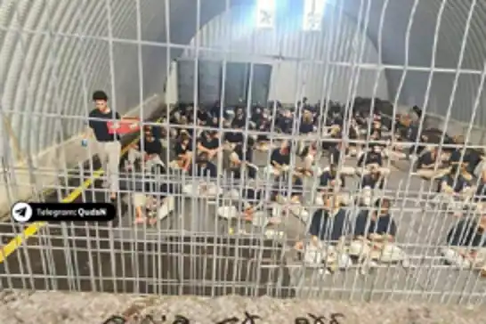 الاحتلال يفرج عن 9 أسرى فلسطينيين من غزة