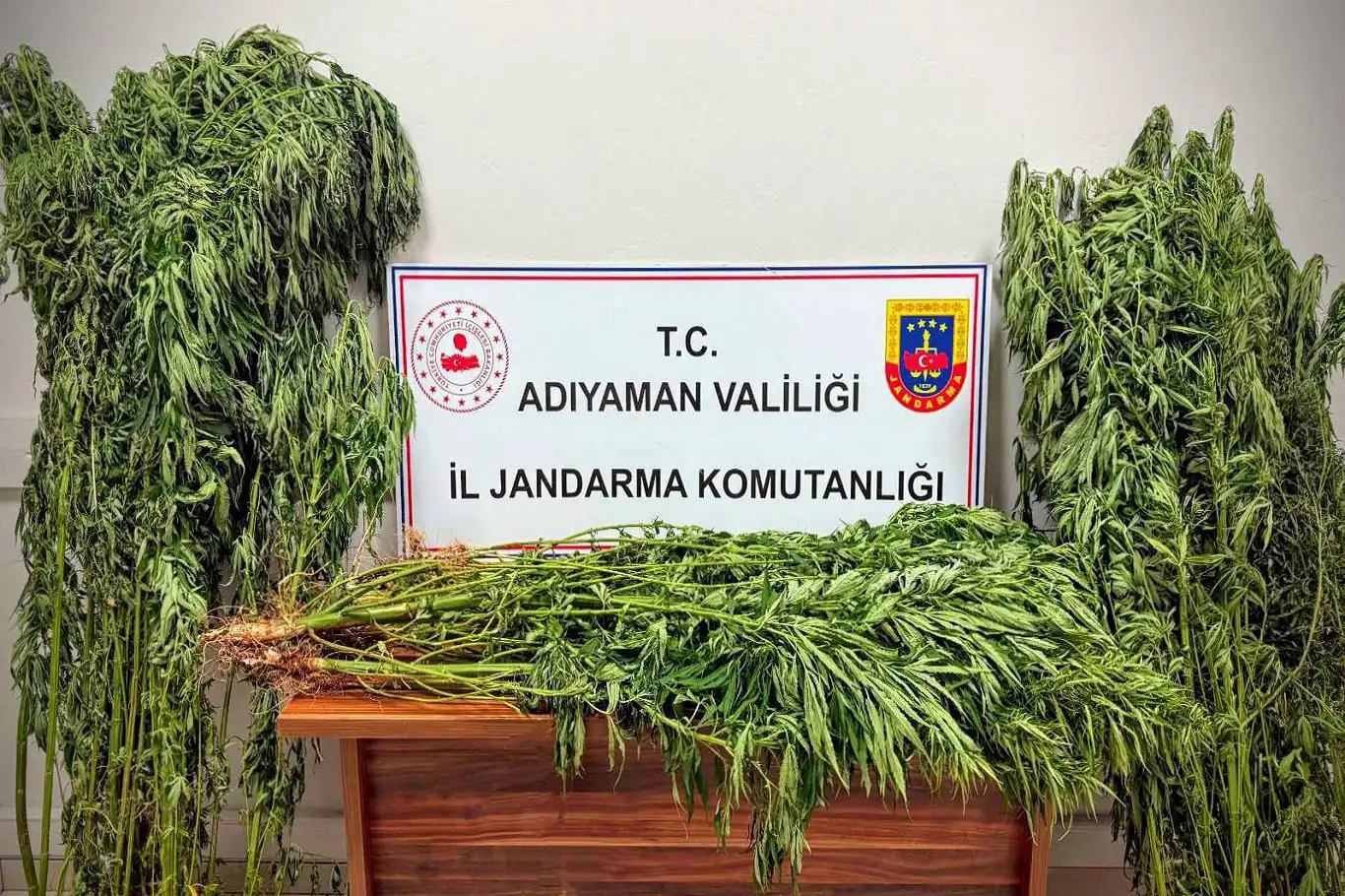 Uyuşturucu operasyonunda 9 kişi gözaltına alındı Uyuşturucu operasyonunda 9 kişi gözaltına alındı