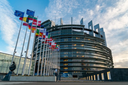 EU Parliament leaders demand immediate action to stop Israel’s genocide in Gaza