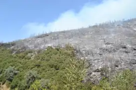 ÇMO Bursa Şube Başkanı Şen: Çevre bilinci alışkanlık değil, yaşam biçimi olmalı