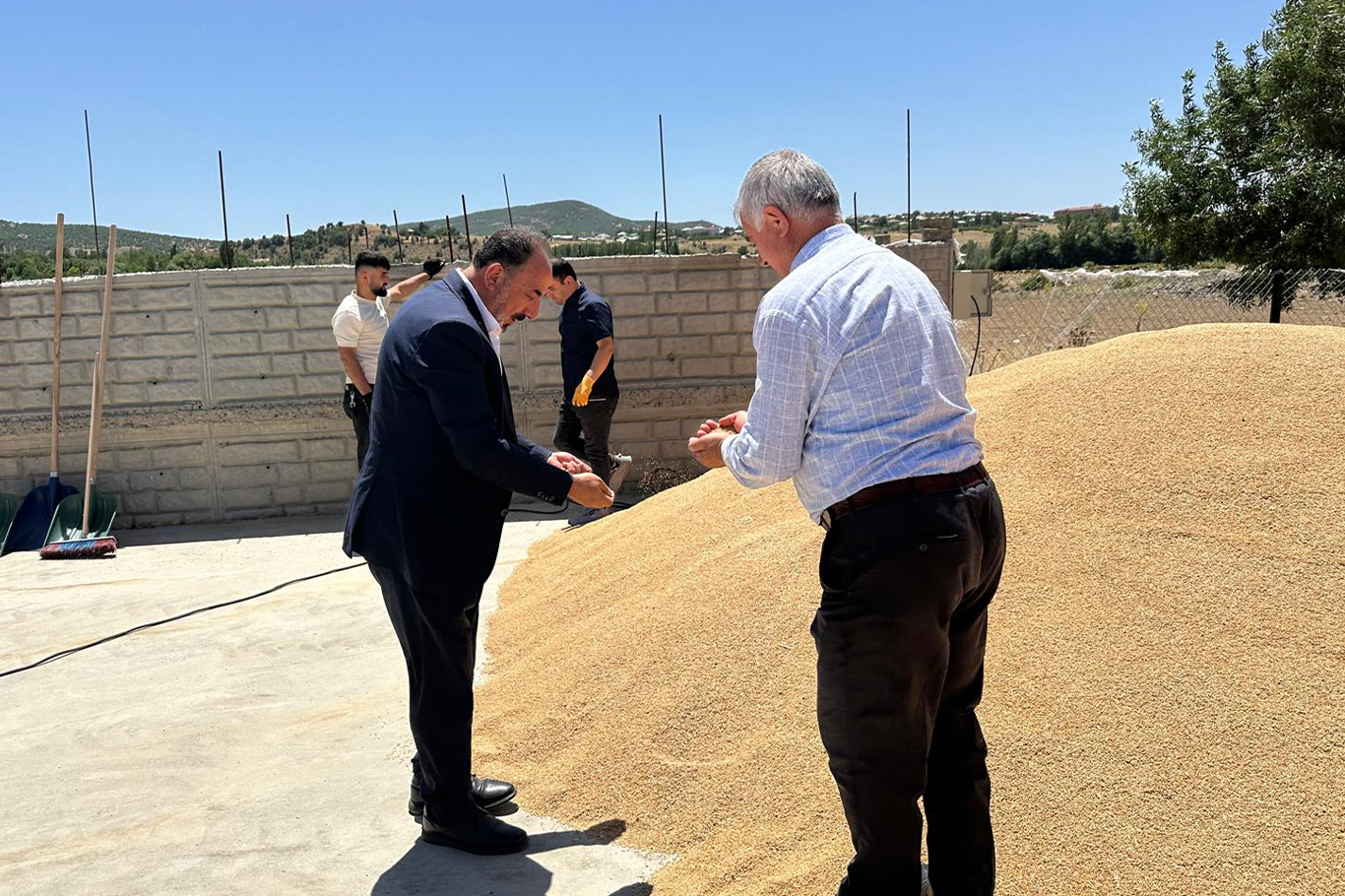 Bingöl’de 2 bin 750 ton buğday hasat edildi Bingöl’de 2 bin 750 ton buğday hasat edildi