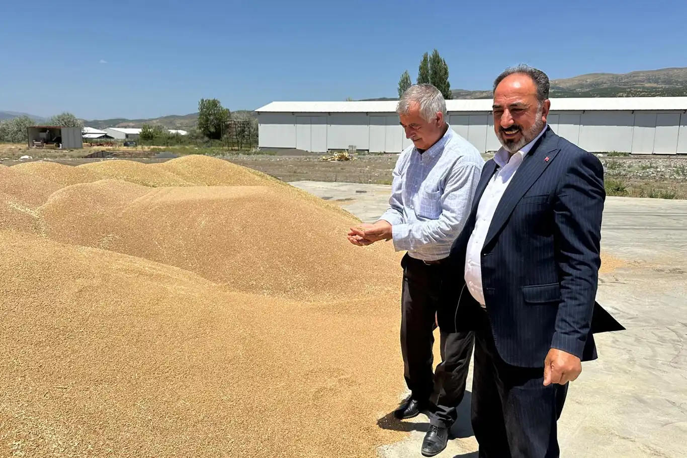 Bingöl’de 2 bin 750 ton buğday hasat edildi Bingöl’de 2 bin 750 ton buğday hasat edildi