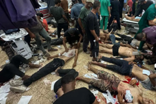 Germany halts military exports to Israel amid growing outcry over Gaza massacres