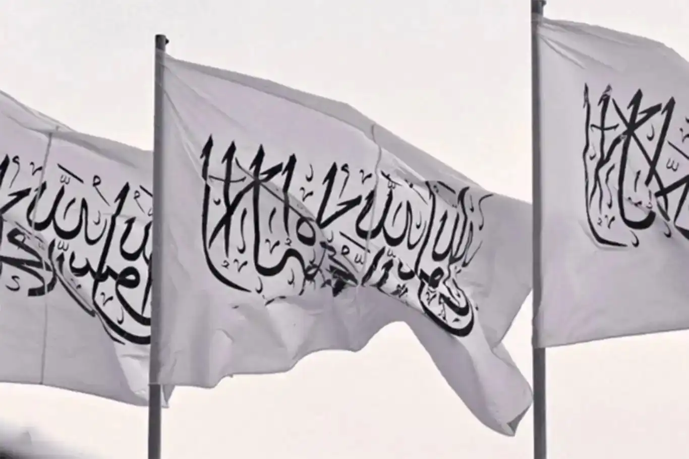 ئیمارەتی ئیسلامی ئەفغانستان ئیدانەی پلانی رژێمی داگیرکەر بۆ داگیرکردنی تەواوی غەززە دەکات