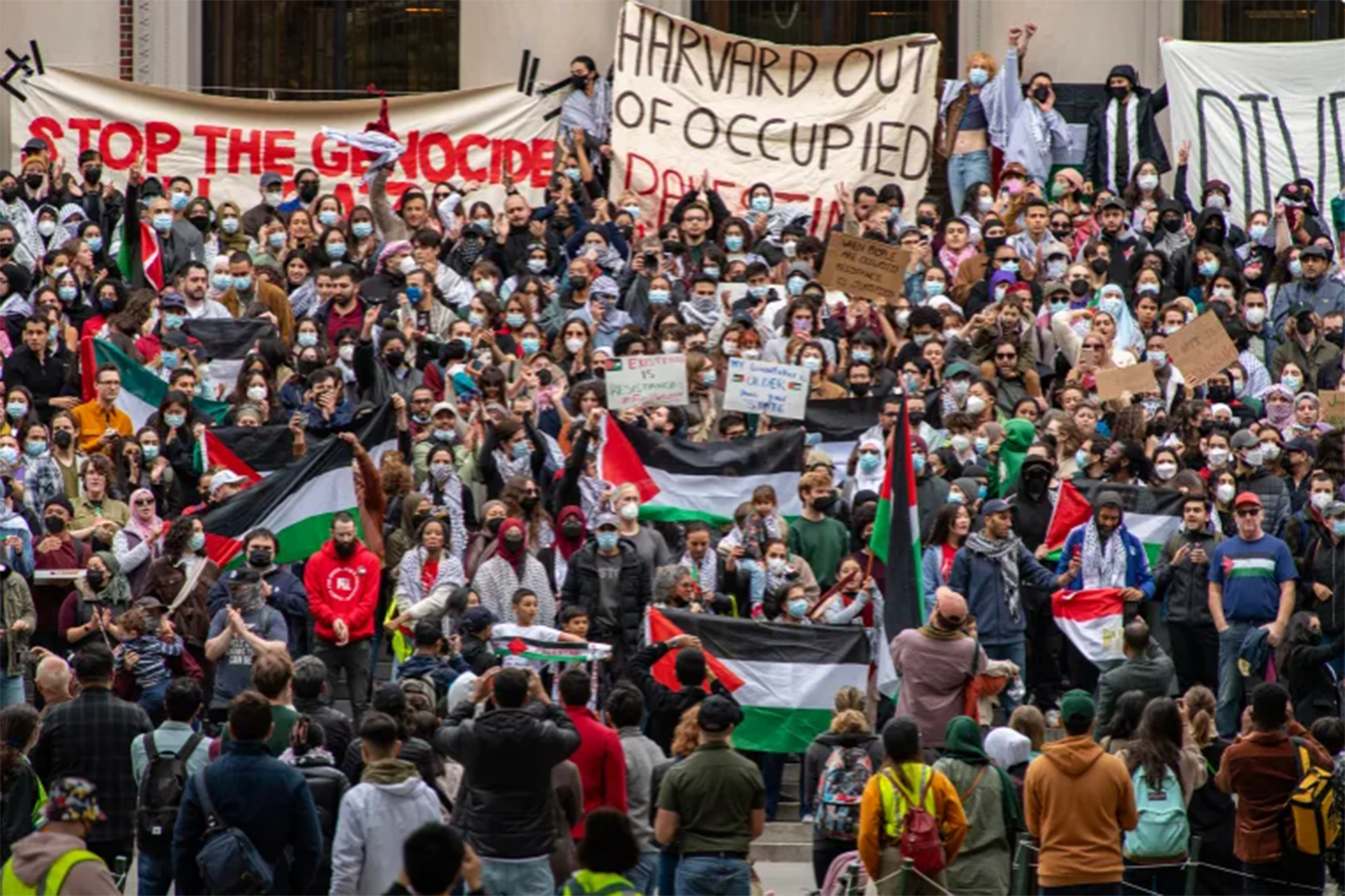 Harvard-Harris poll: Majority of young Americans back Hamas over Israel Harvard-Harris poll: Majority of young Americans back Hamas over Israel