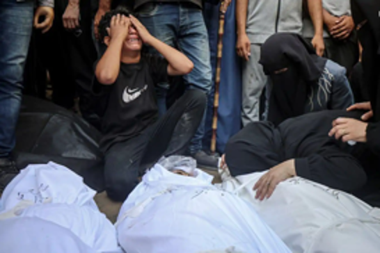 Islamic MPs urge urgent action on Gaza crisis in letter to OIC leaders