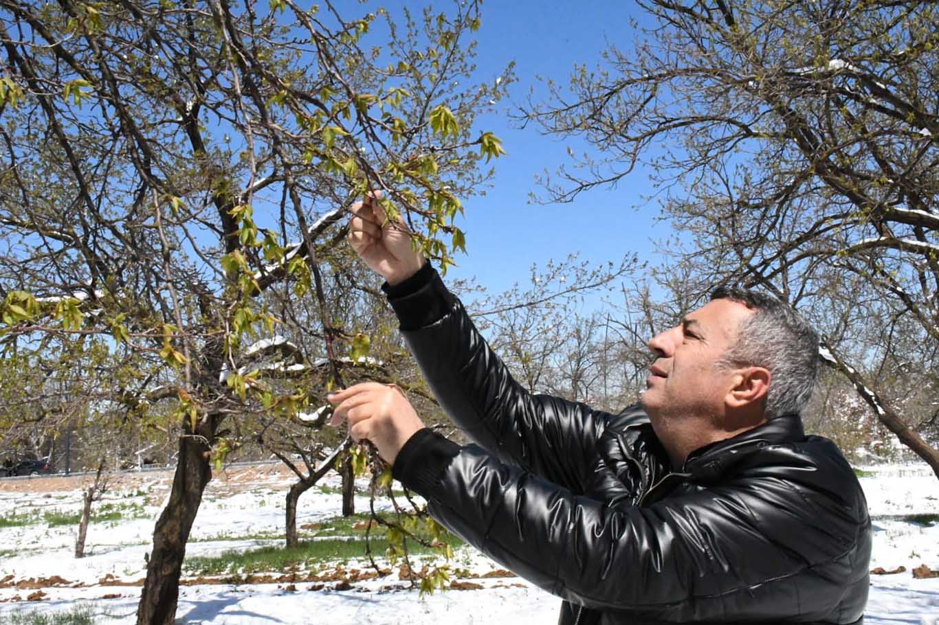 MTB Başkanı Özcan: Destek ödemeleri Malatya ekonomisine can suyu olacak MTB Başkanı Özcan: Destek ödemeleri Malatya ekonomisine can suyu olacak