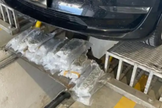 İstanbul'da uyuşturucu operasyonu: 37 kg skunk ele geçirildi