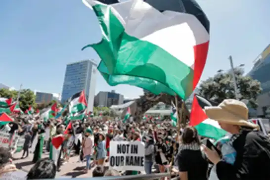 عشرات الآلاف يتظاهرون في نيوزيلندا دعمًا لفلسطين