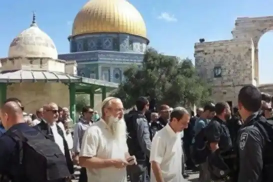 جولەکەکانی سەهیۆنی بەردەوامن لە هەڵکوتانە سەر مزگەوتی ئەقسا