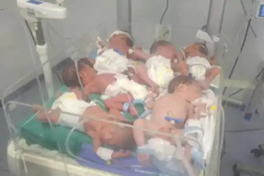 Gaza’s premature babies face death as medical supplies run out