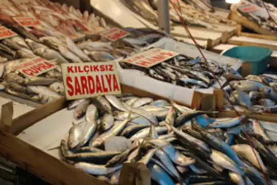 Akdeniz'de balık sezonu bereketiyle başladı