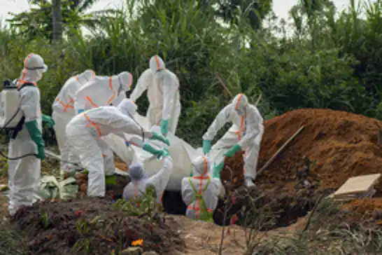 Kongo'da Ebola salgını: 48 vaka, 31 ölü