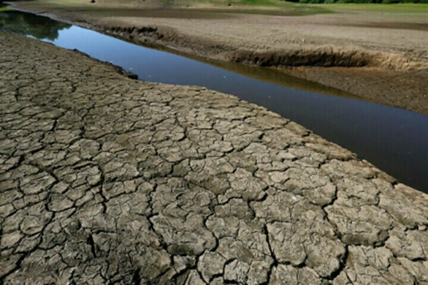 WMO: Water scarcity could hit 5 billion people by 2050